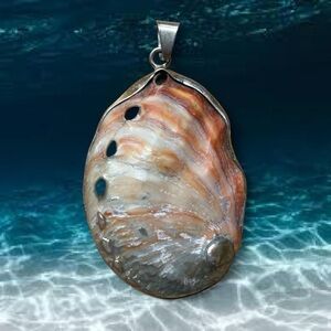 Vintage Abalone Shell Pendant